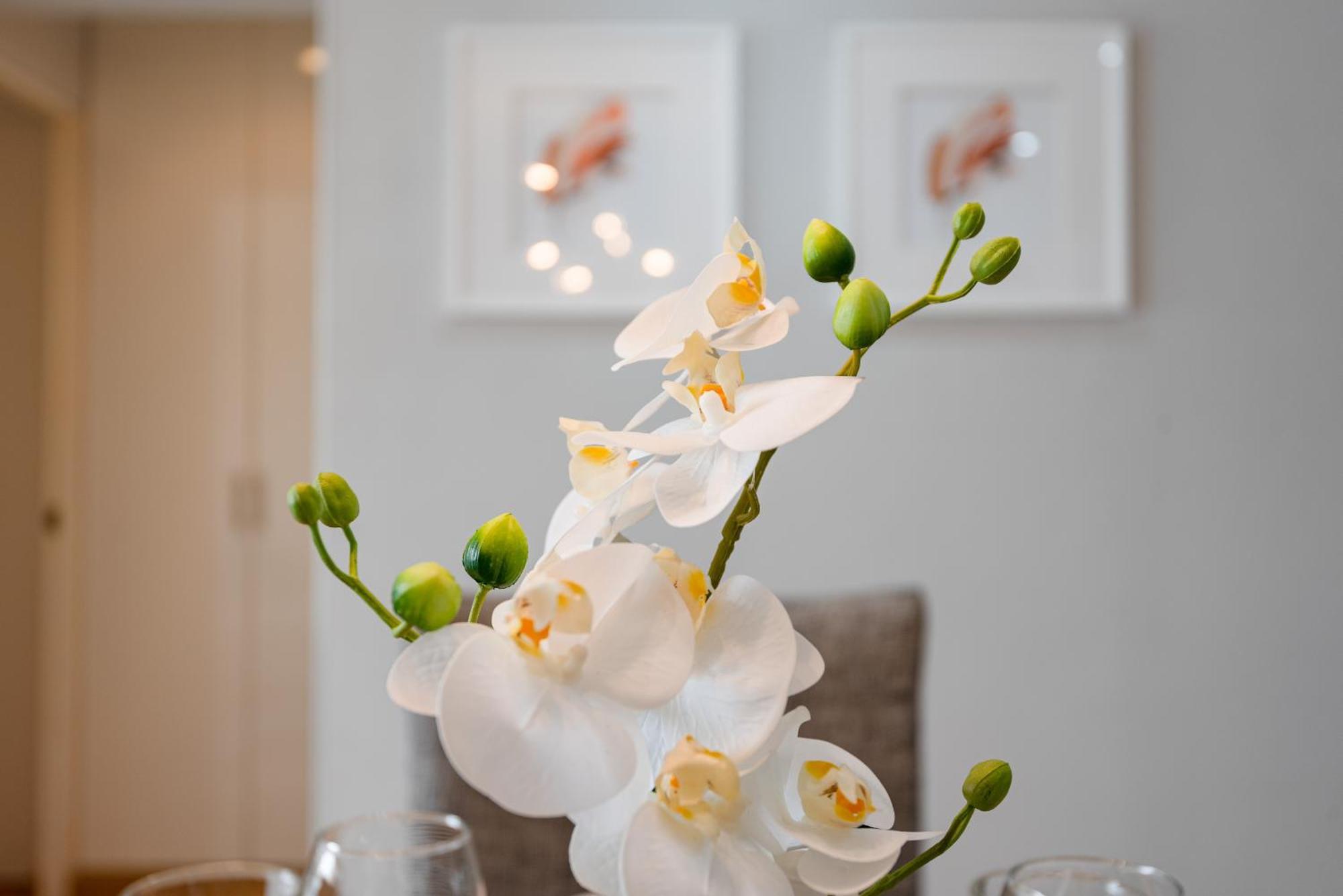 Skyliving Towers Apartments - Peru ลิมา ภายนอก รูปภาพ